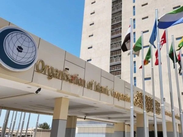 مسلم دنیا کو حوثیوں کی سرکوبی کیلیے مضبوط موقف اپنانا ہوگا، او آئی سی