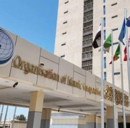 مسلم دنیا کو حوثیوں کی سرکوبی کیلیے مضبوط موقف اپنانا ہوگا، او آئی سی