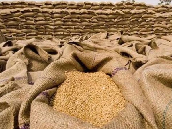 2027ء کے لیے گندم کی مجوزہ قیمت 4,500 روپے فی من مقرر