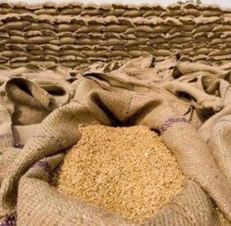 2027ء کے لیے گندم کی مجوزہ قیمت 4,500 روپے فی من مقرر