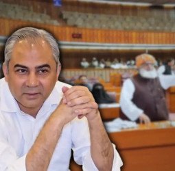 'مال ملنا بند ہوجائے تو ریاست بُری ہوجاتی ہے': محسن نقوی کی مولانا فضل الرحمان پر تنقید